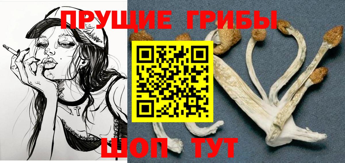 купить закладку  Галлюциногенные грибы мухоморы  Псилоцибиновые грибы Cubensis  Вход с VPN  Ейск 